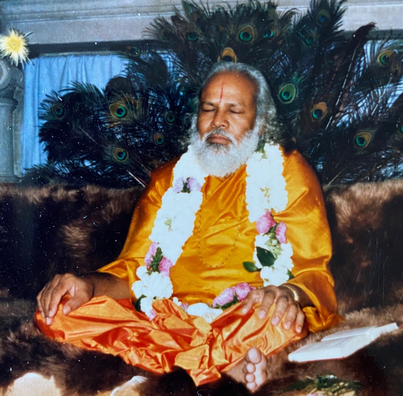 Answers to Devotees: Swami Prakashanand Saraswati’s Teachings on Divine Worship